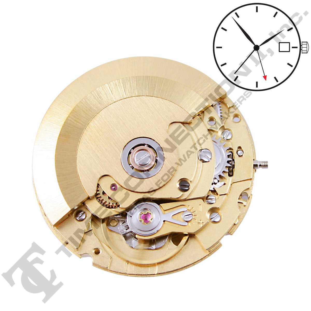 Chinese 6460 Automatic Movement ETA 2836 GMT