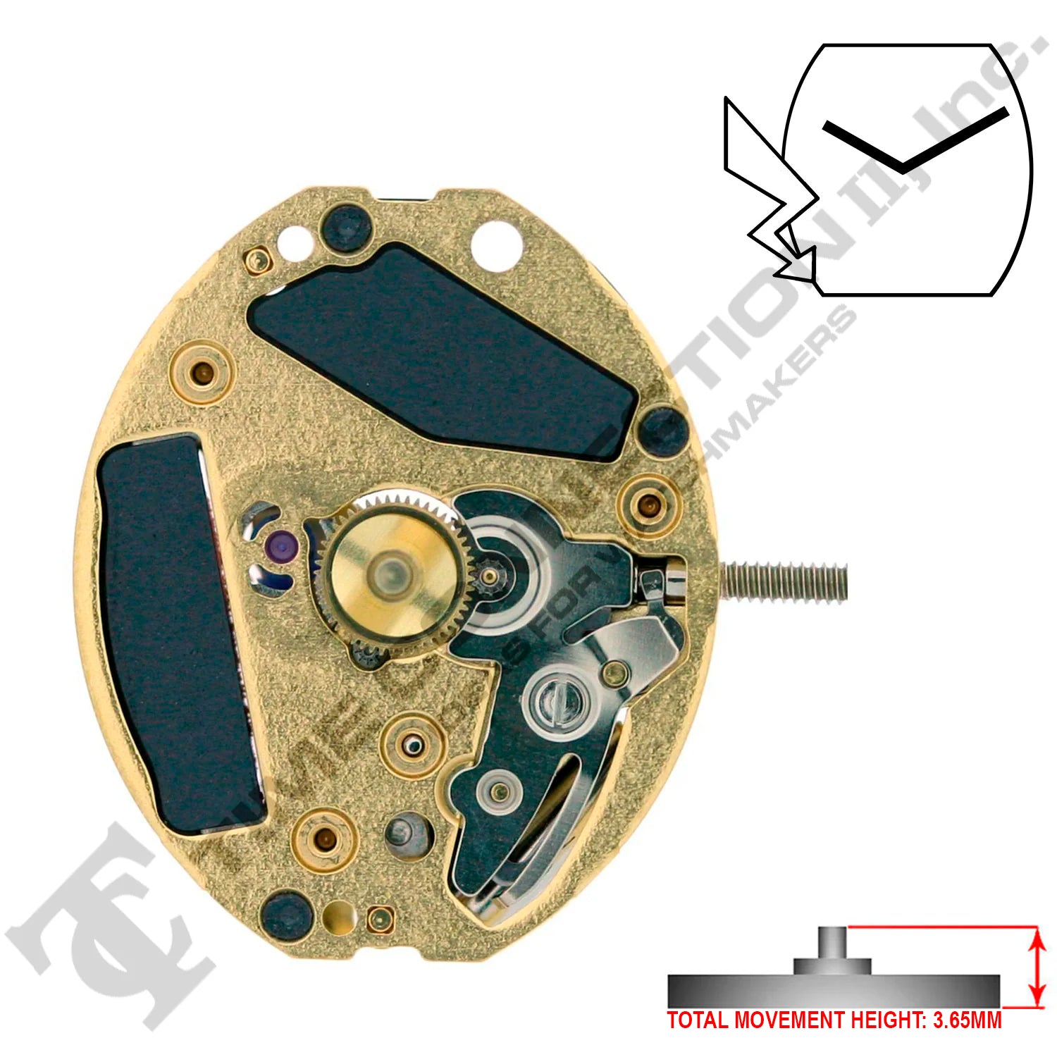 ETA 901.001 2 Hands Swiss Made Quartz Movement (Various Heights)