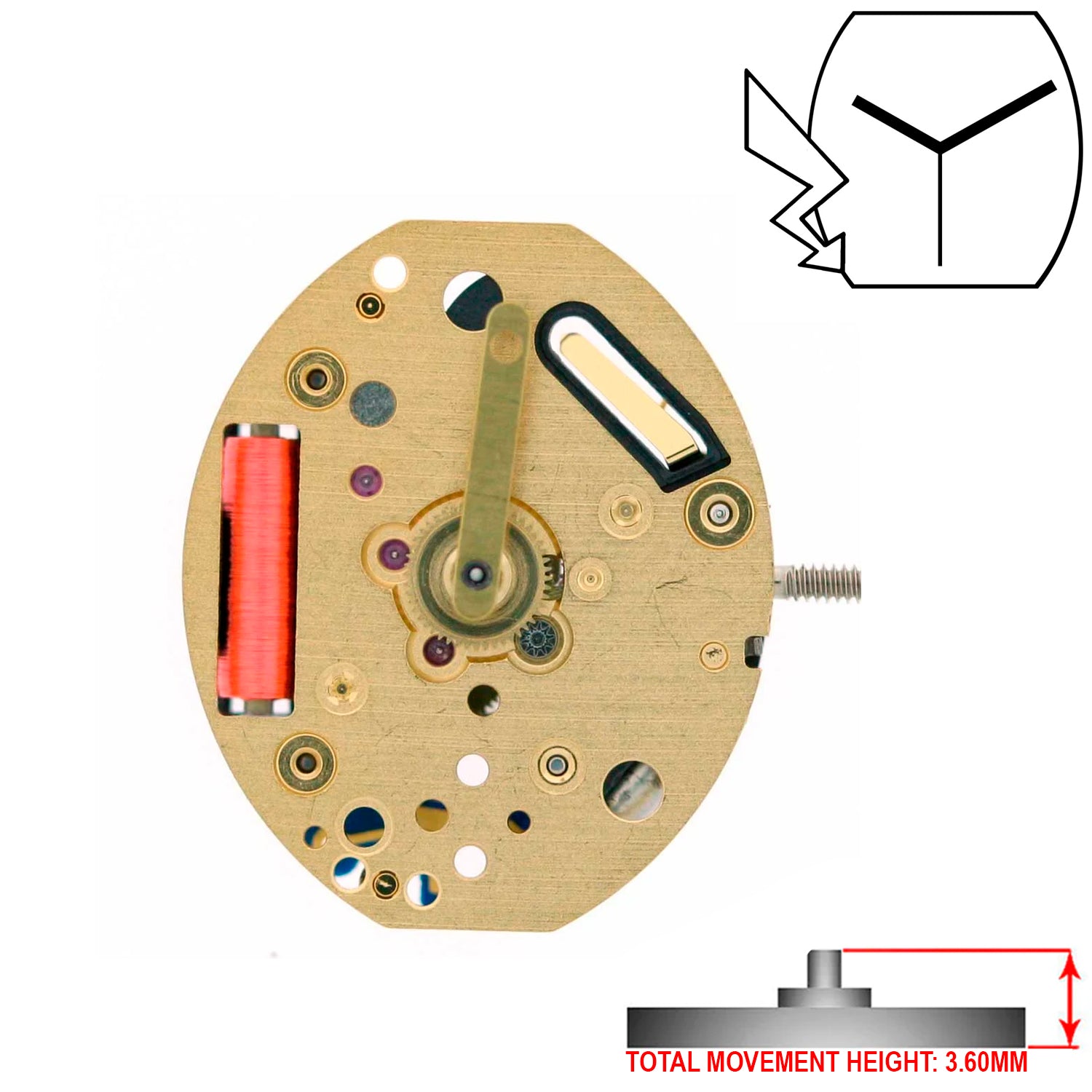 ETA 980.106 3 Hands Swiss Made Quartz Movement Ht. 3.60MM