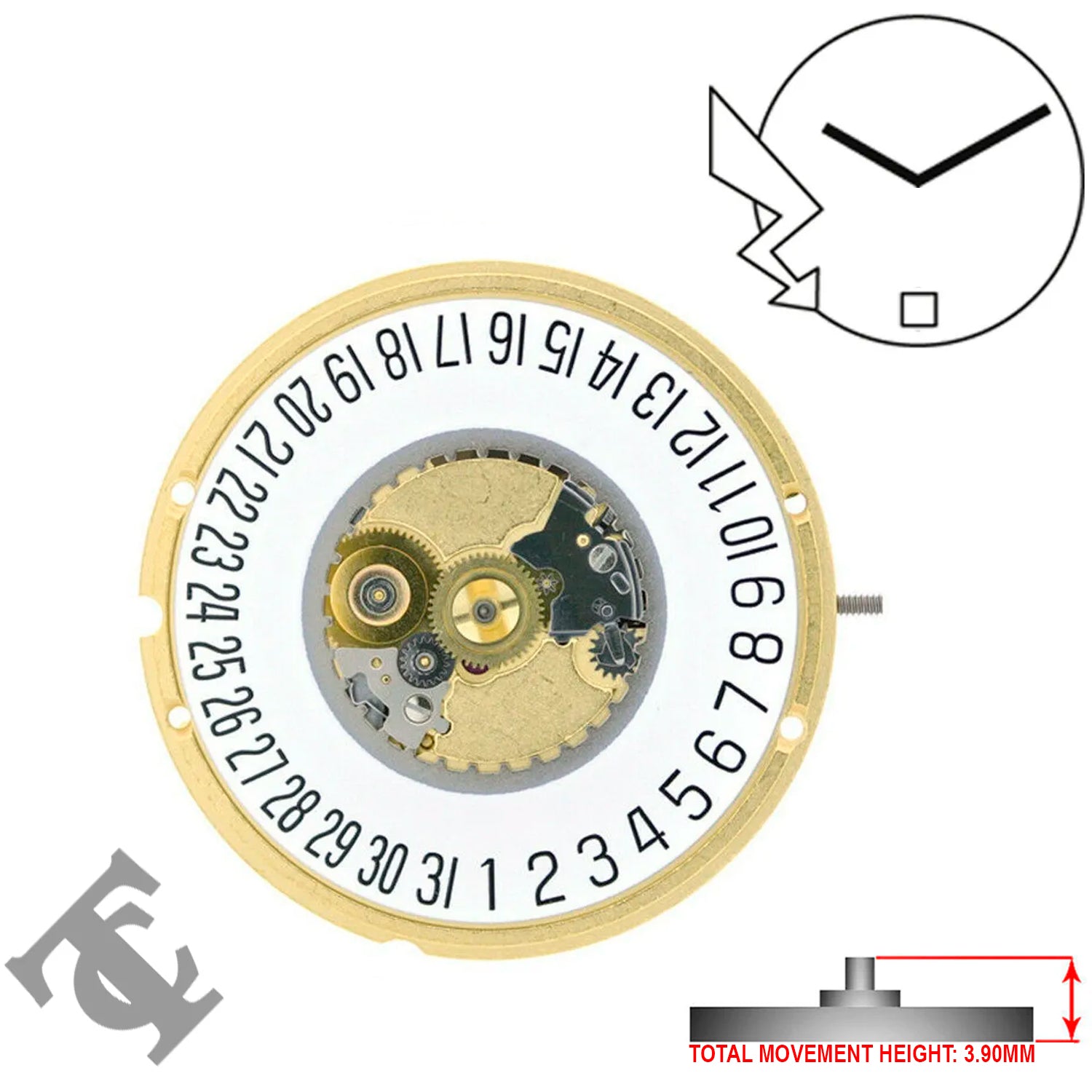 ETA 955.112 2 Hands Swiss Made Movement Ht. 3.90MM (Various Dates)