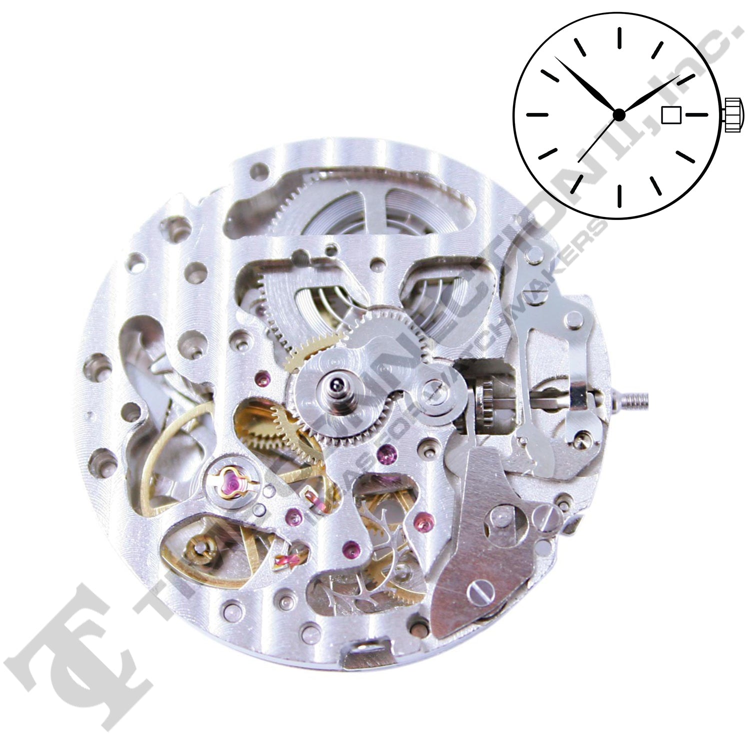 Chinese DG2892-S Automatic Movement