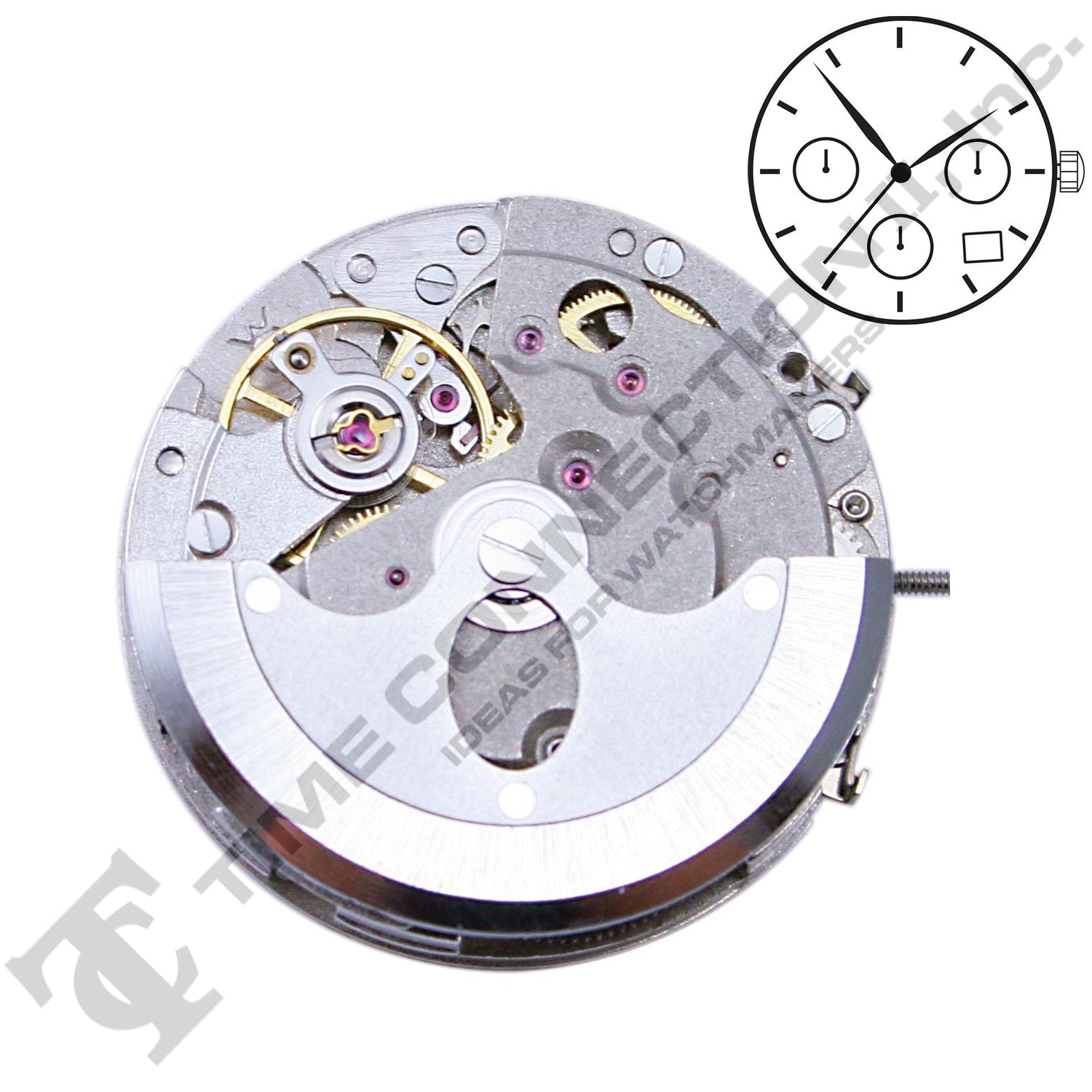 Chinese DG3836-D4:30S Automatic Movement