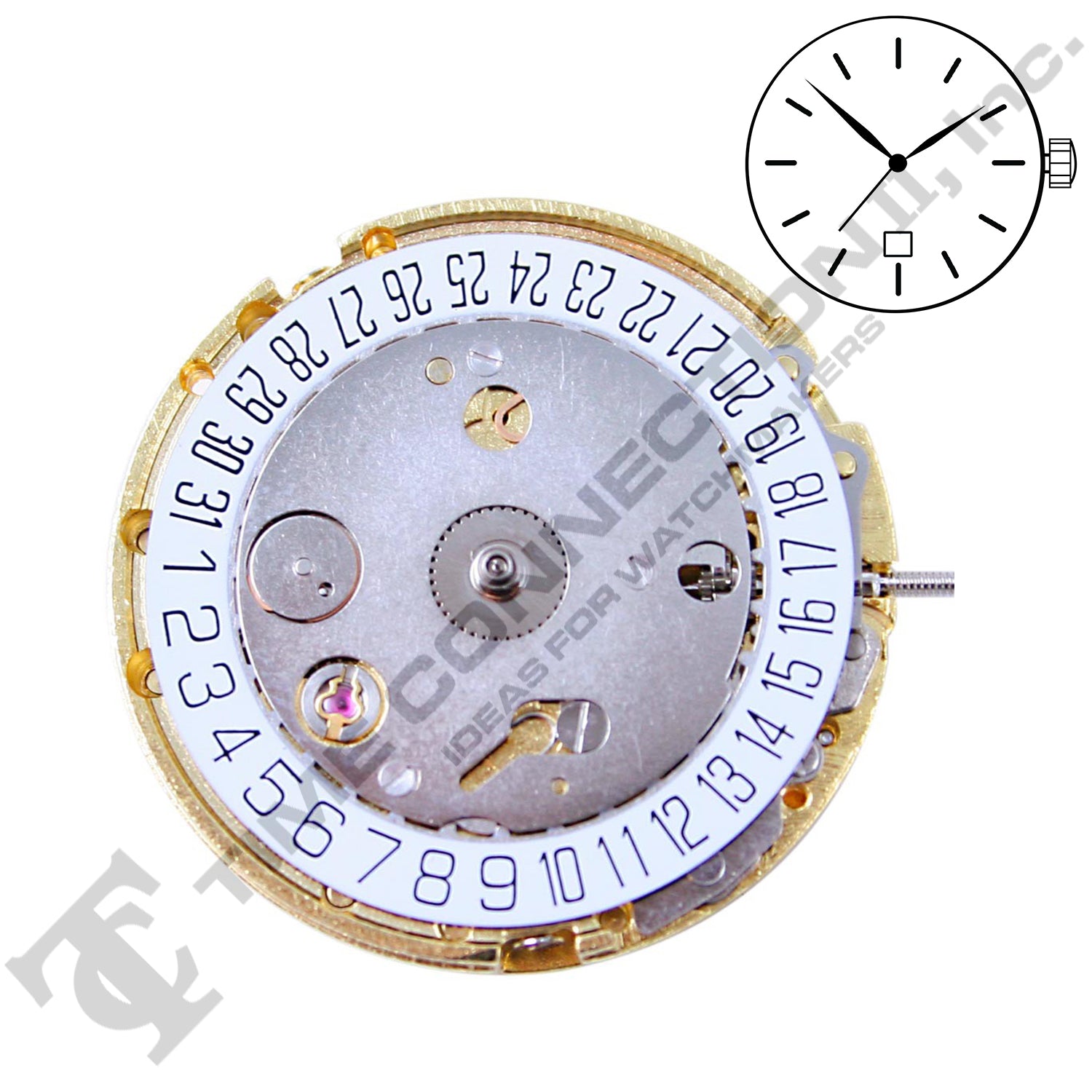 Chinese DG4816 Automatic Movement