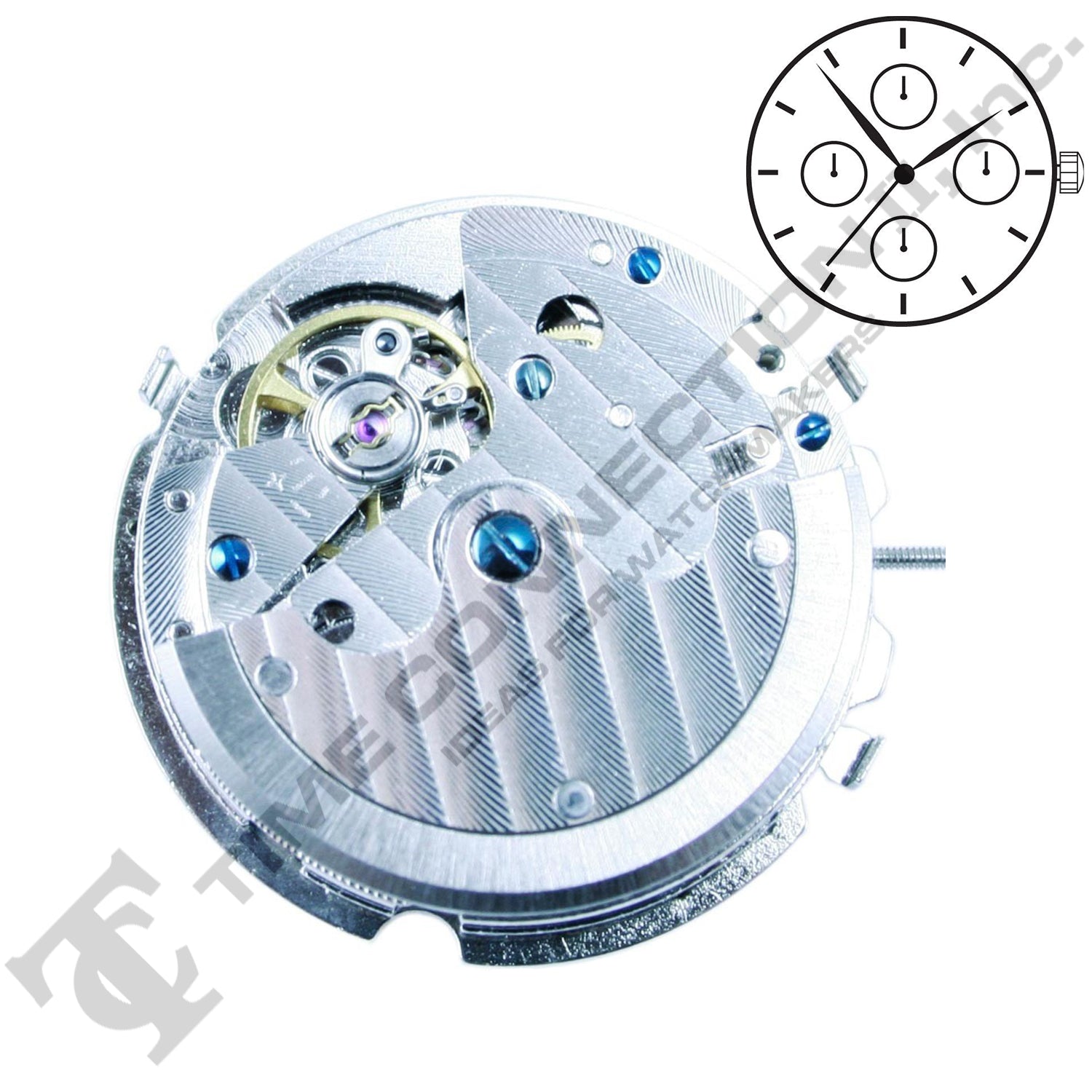 Chinese TY2876 Automatic Movement