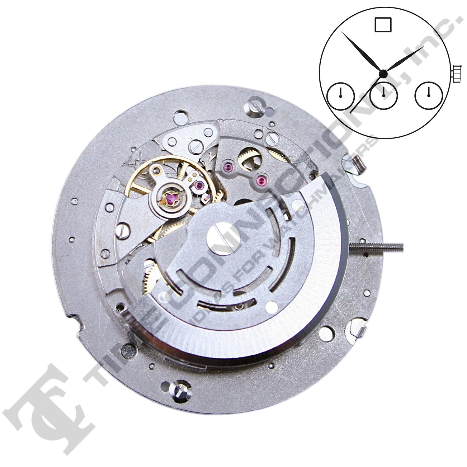 Chinese DG3856 Automatic Movement