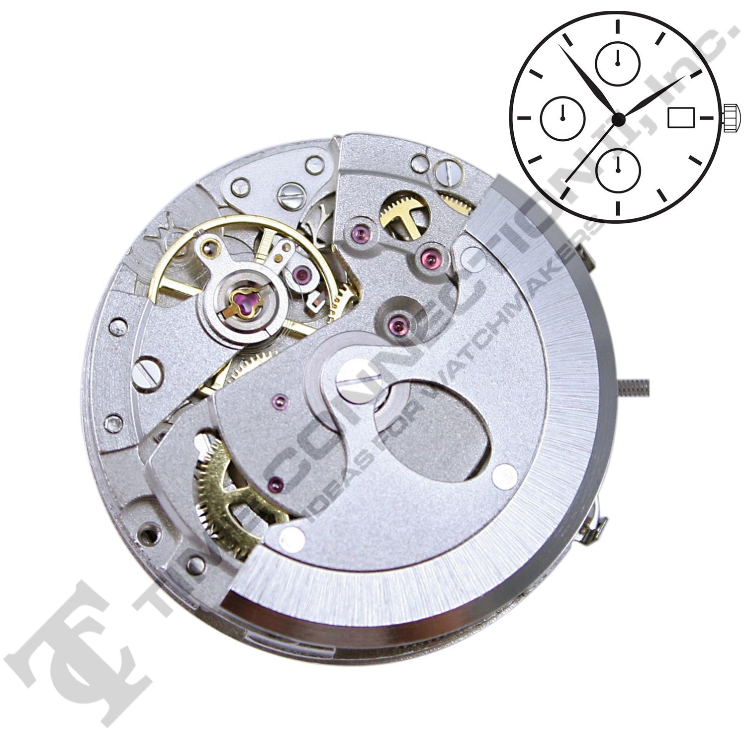 Chinese DG3836-1B Automatic Movement