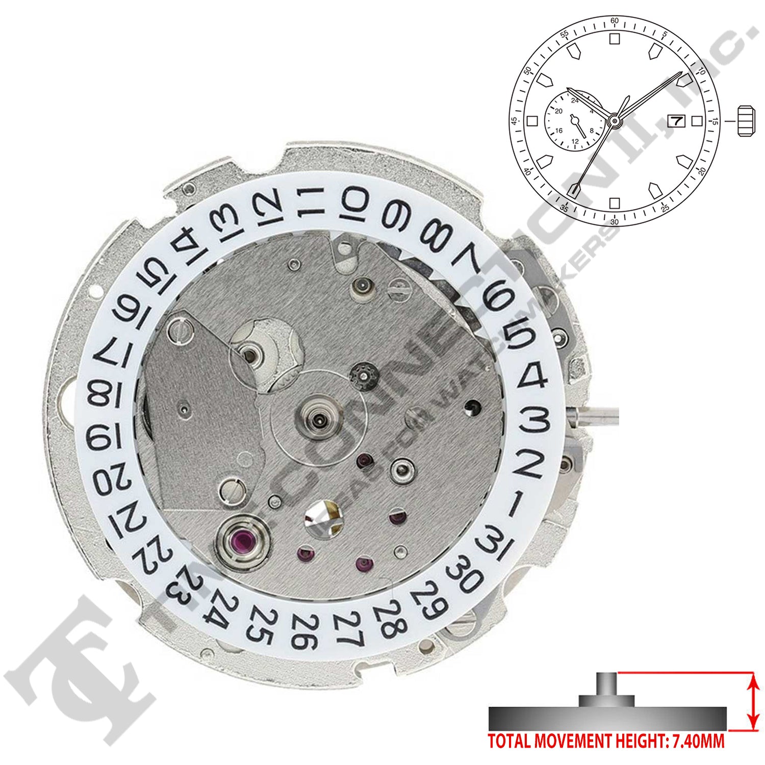 Miyota/Citizen LTD 8217  Japan Automatic Movement Ht.