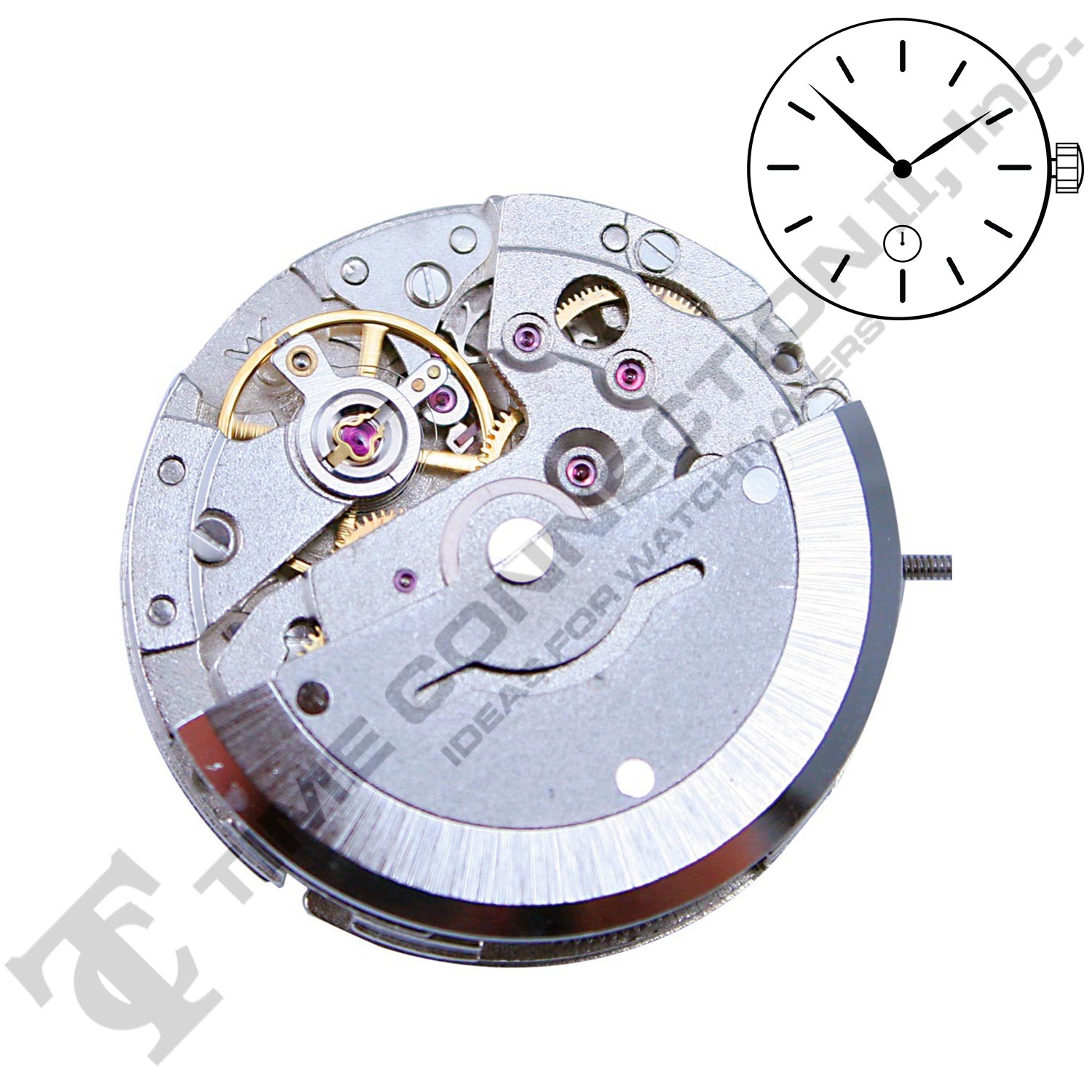 Chinese DG3806 Automatic Movement