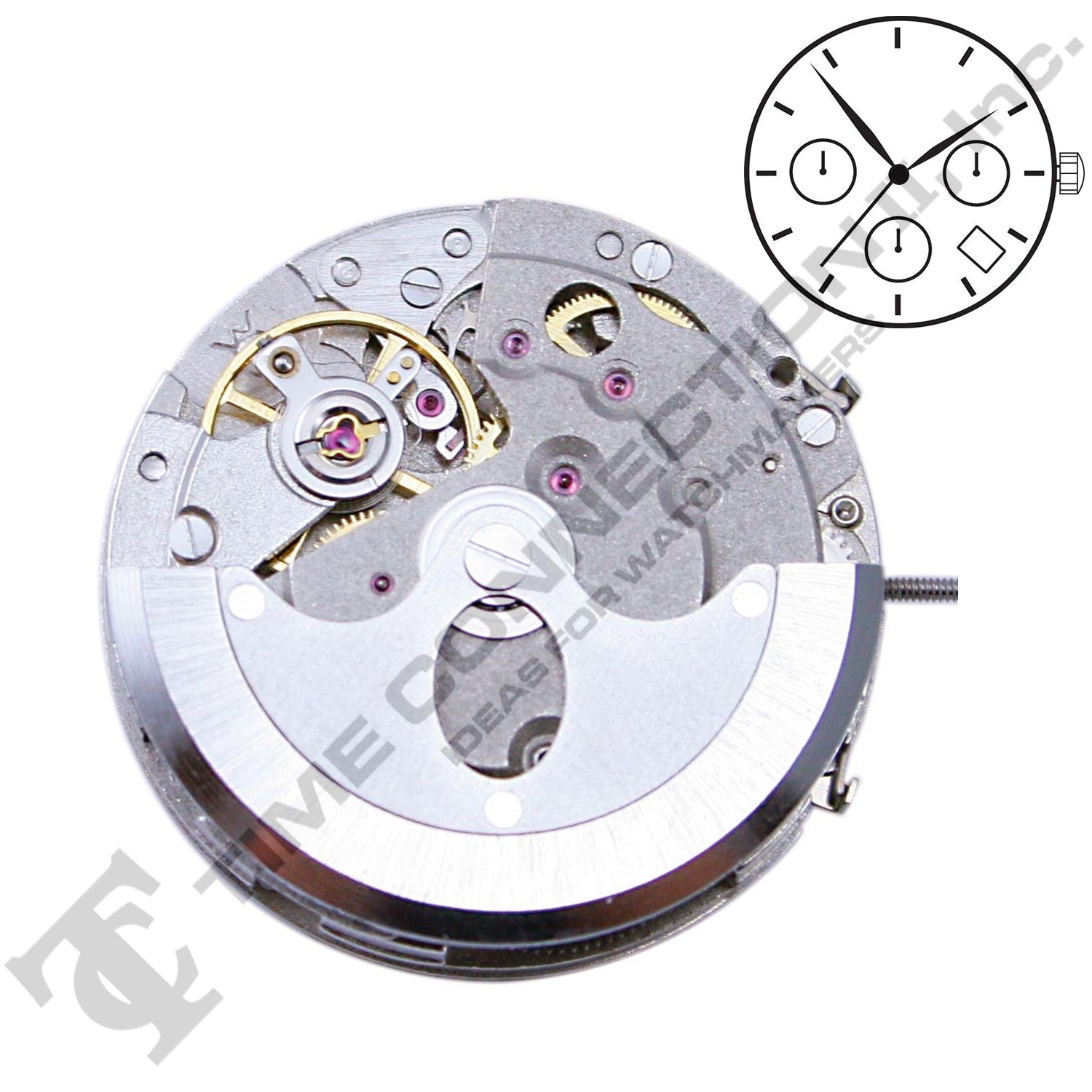 Chinese DG3836-D4:30A Automatic Movement