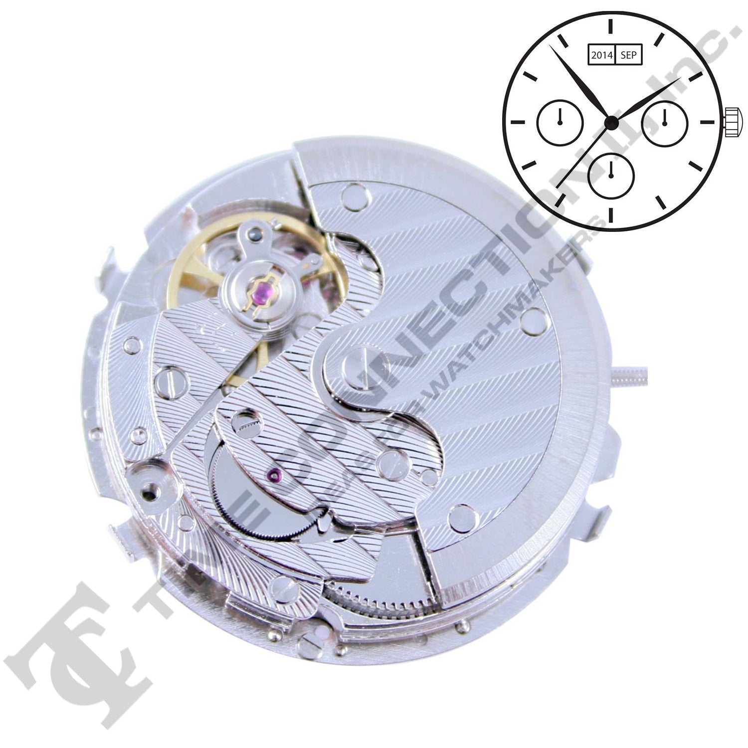 Chinese TY2872 Automatic Movement