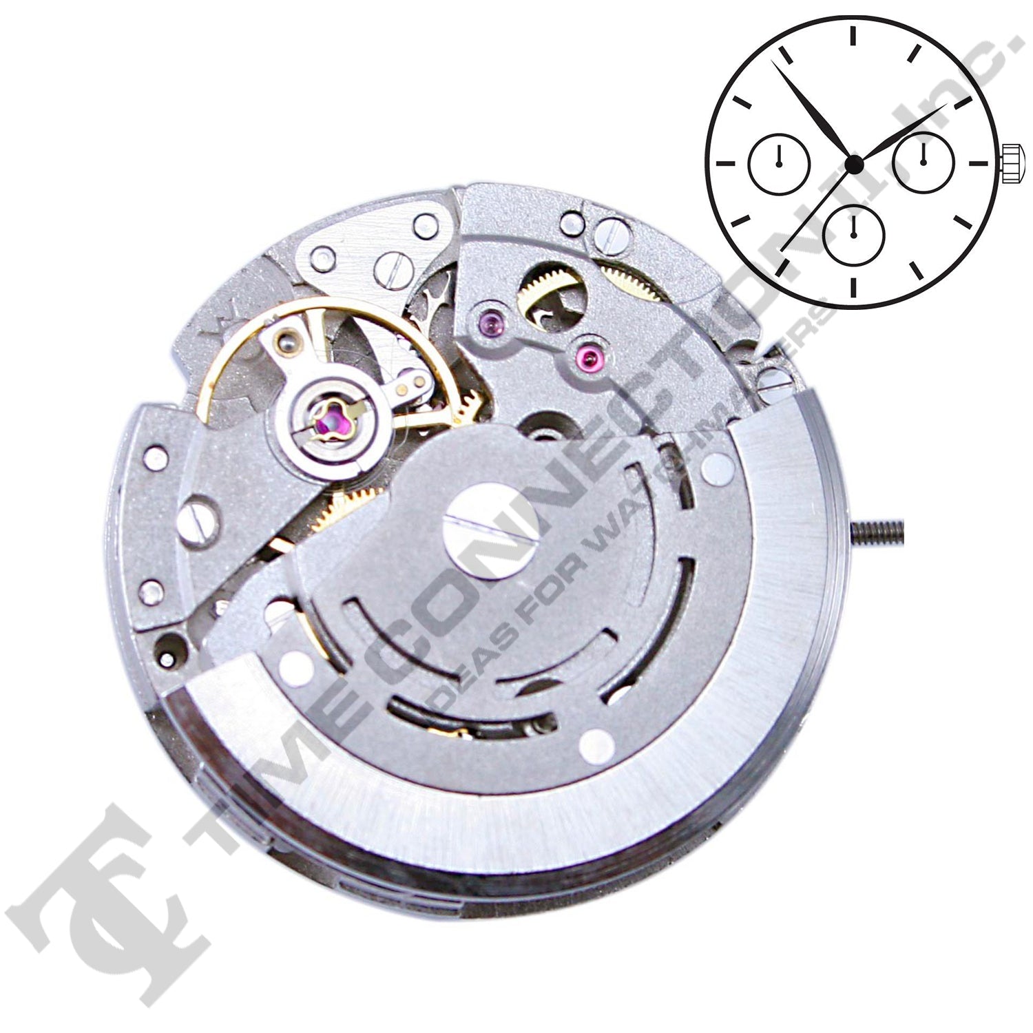 Chinese DG3836-B Automatic Movement