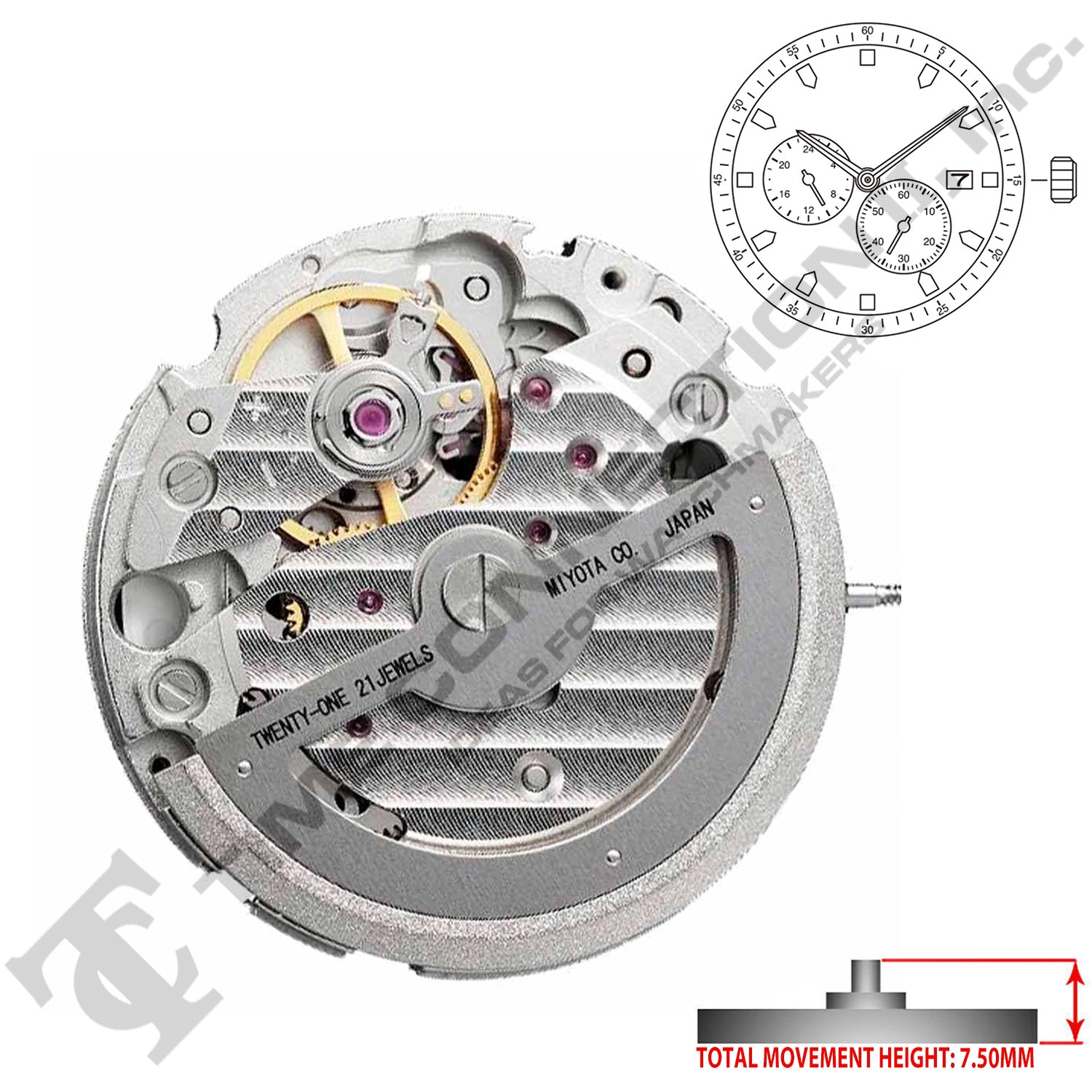 Miyota/Citizen LTD 8219 Japan Automatic Movement Ht. 7.5MM