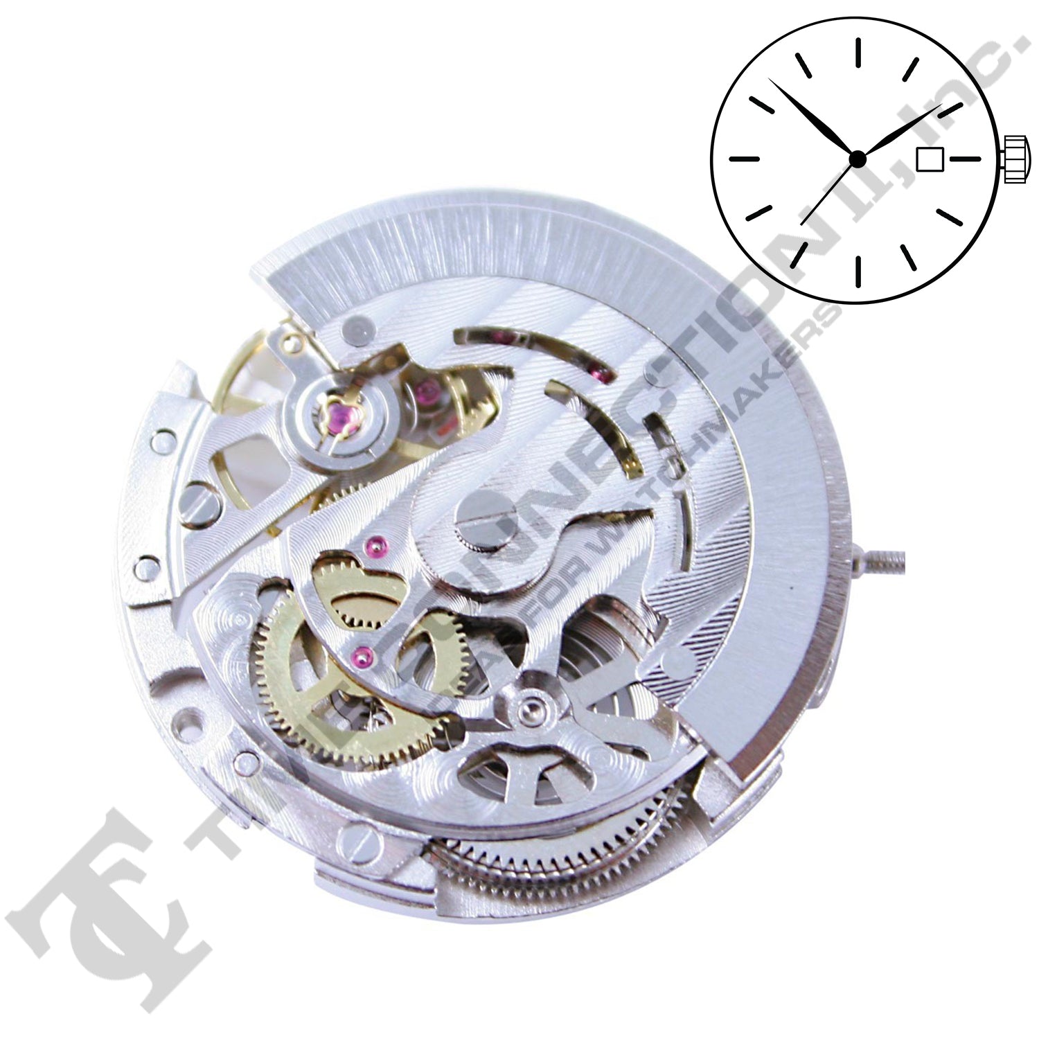 Chinese DG2892-S Automatic Movement