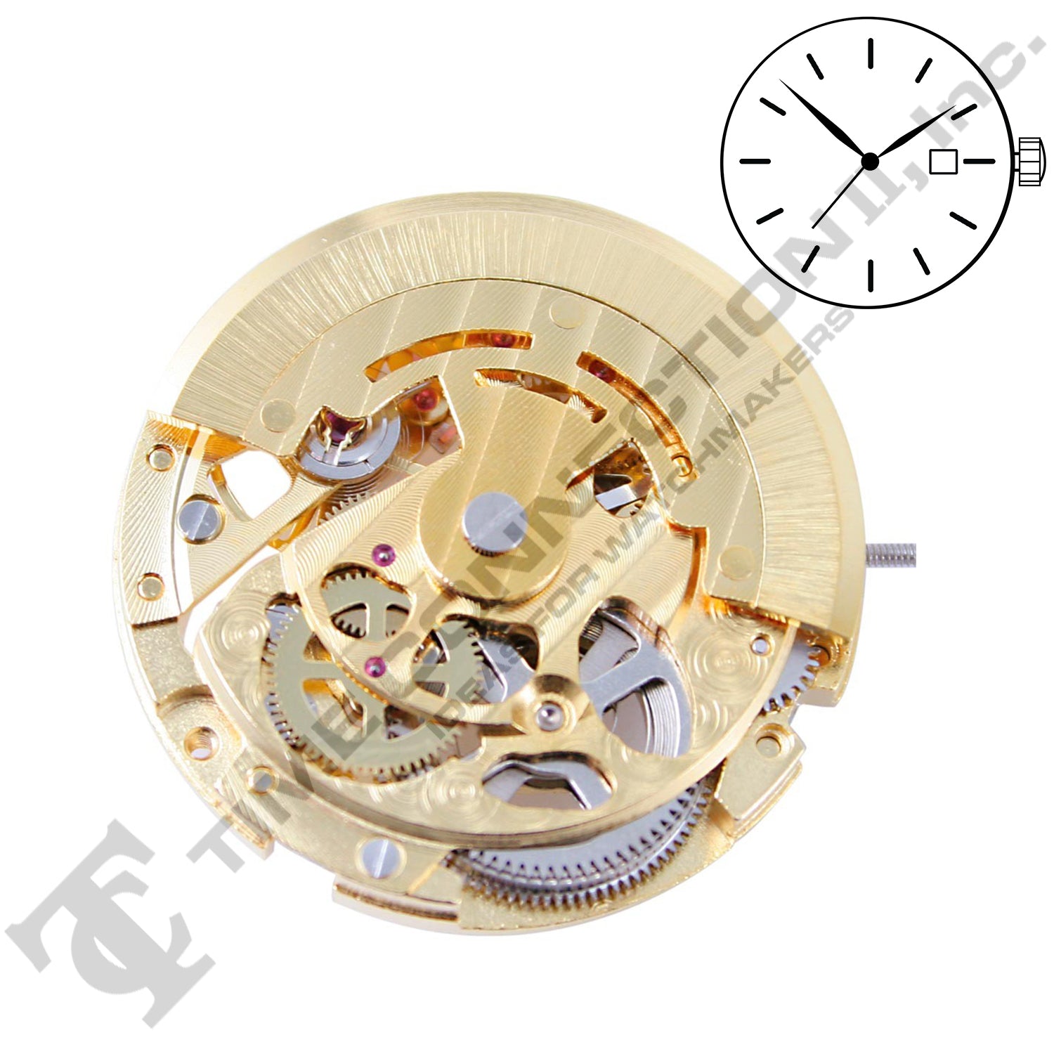 Chinese  DG2892-G Automatic Movement