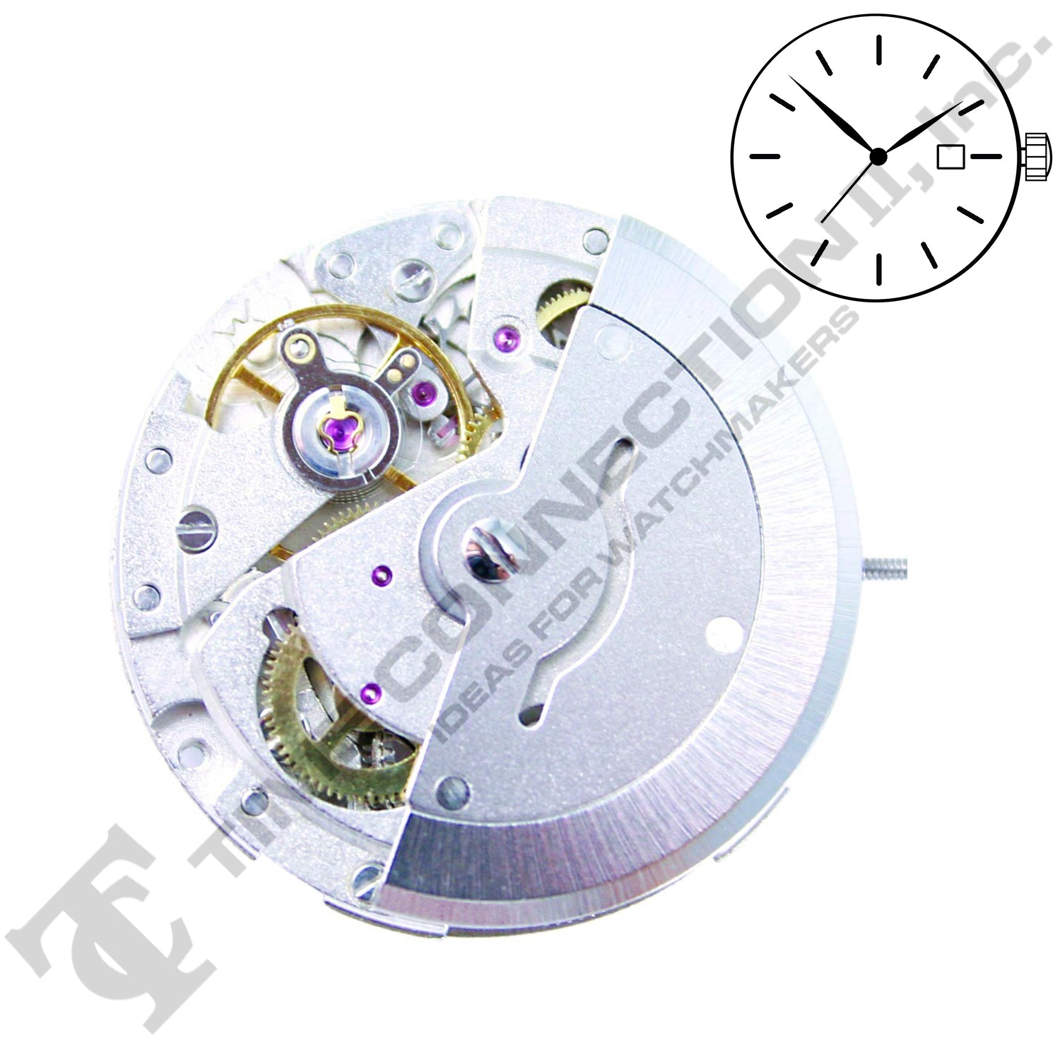 Chinese DG2813-D3 Automatic Movement Ht. 7.50MM