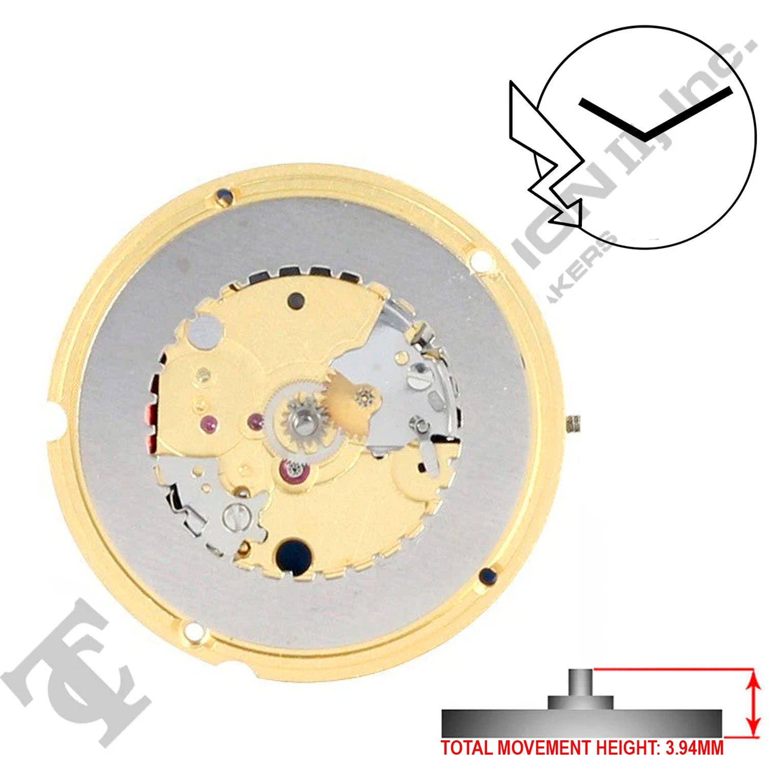 ETA 956.402 2 Hands Swiss Made Quartz Movement Ht. 3.94MM