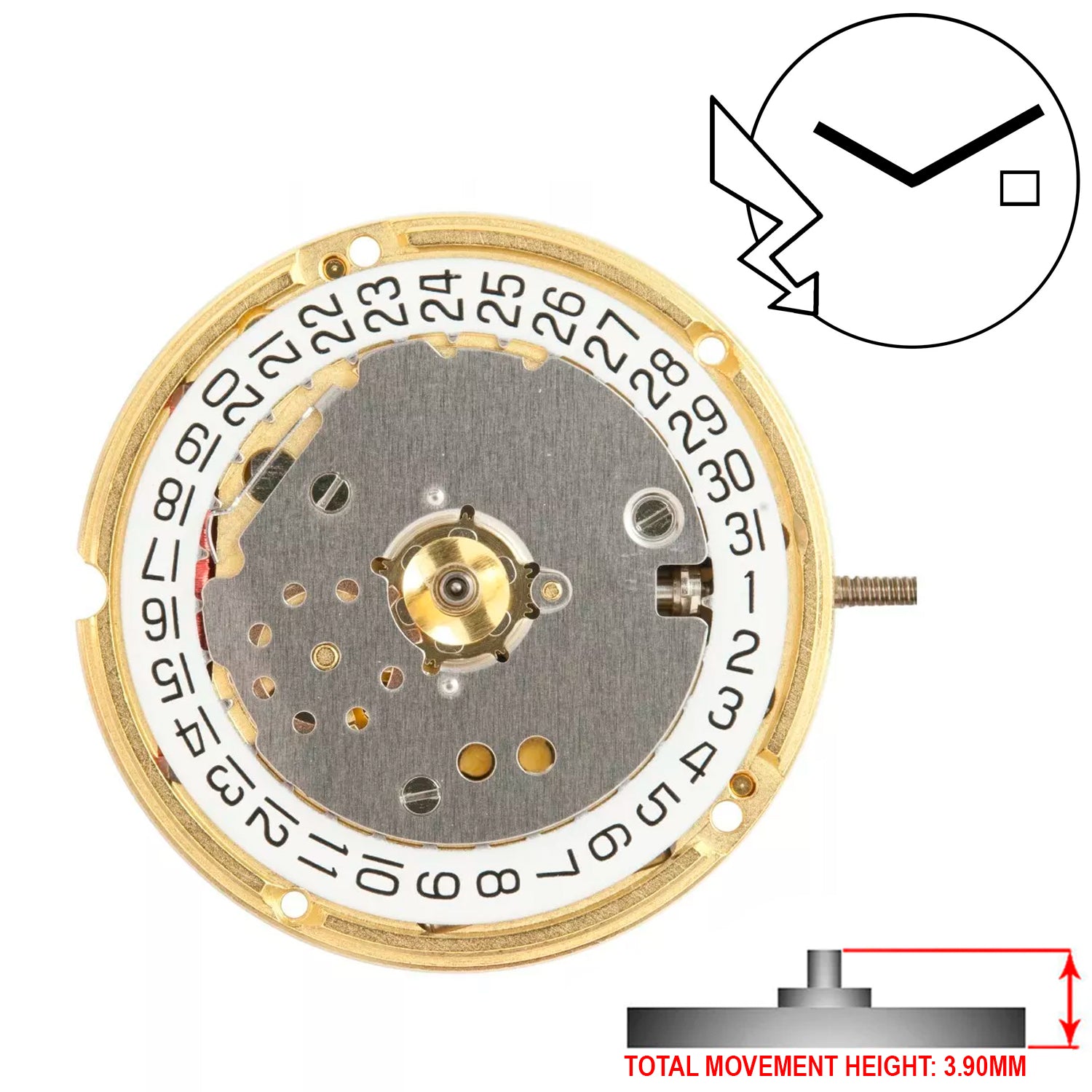 ETA F03.111 2 Hands Swiss Made Quartz Movement (Various Heights)