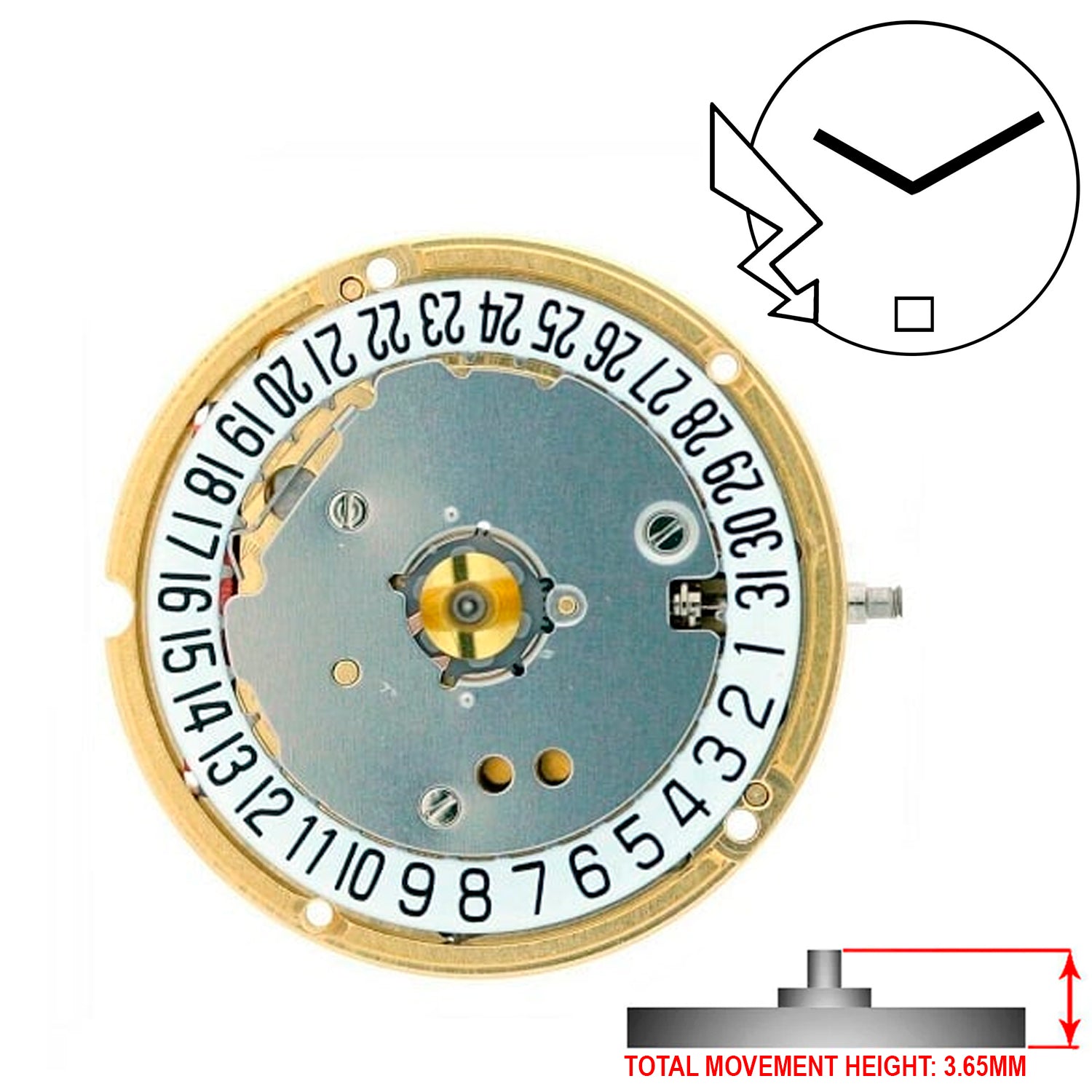 ETA F04.115 2 Hands Swiss Made Quartz Movement Ht. 3.65MM (Various Dates)