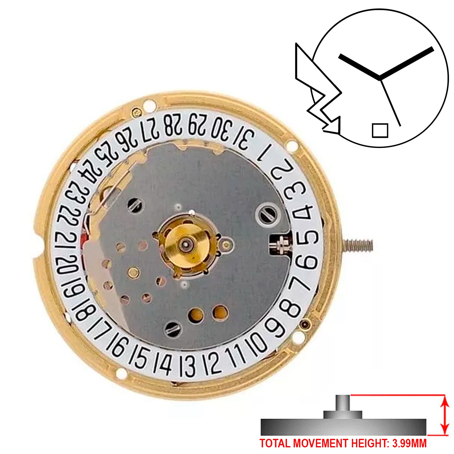 ETA F03.111 3 Hands Swiss Made Quartz Movement (Various Heights)