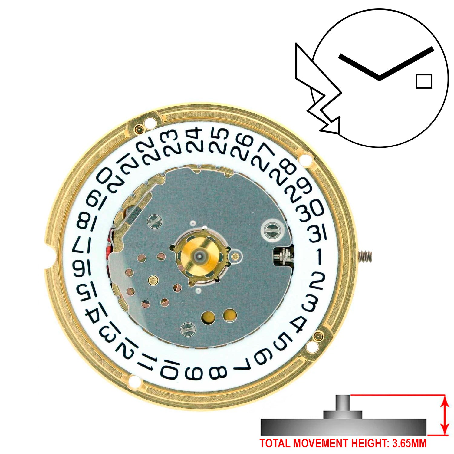 ETA F04.115 2 Hands Swiss Made Quartz Movement Ht. 3.65MM (Various Dates)