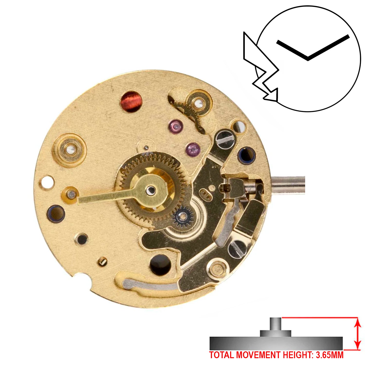 ETA E01.701 2 Hands Swiss Made Quartz Movement Ht. 3.65MM