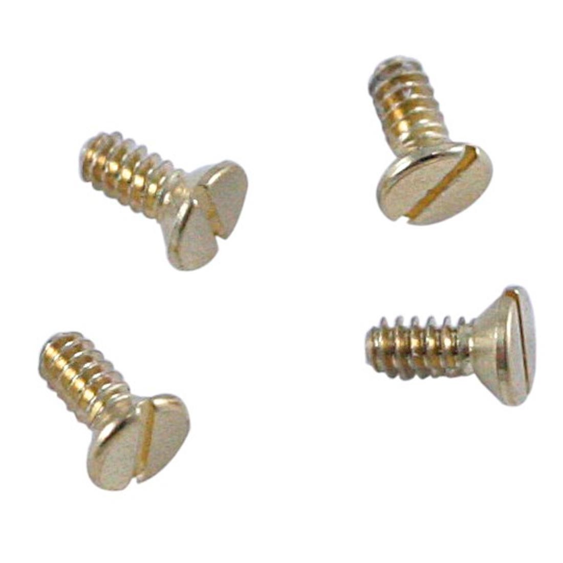 18K Gold Screws (Sold Individually) – Time Connection II, Inc